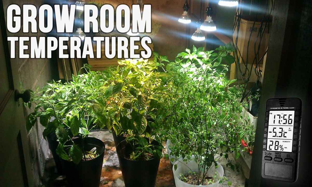 Temperature in the Grow Room For Indoor Hydroponics