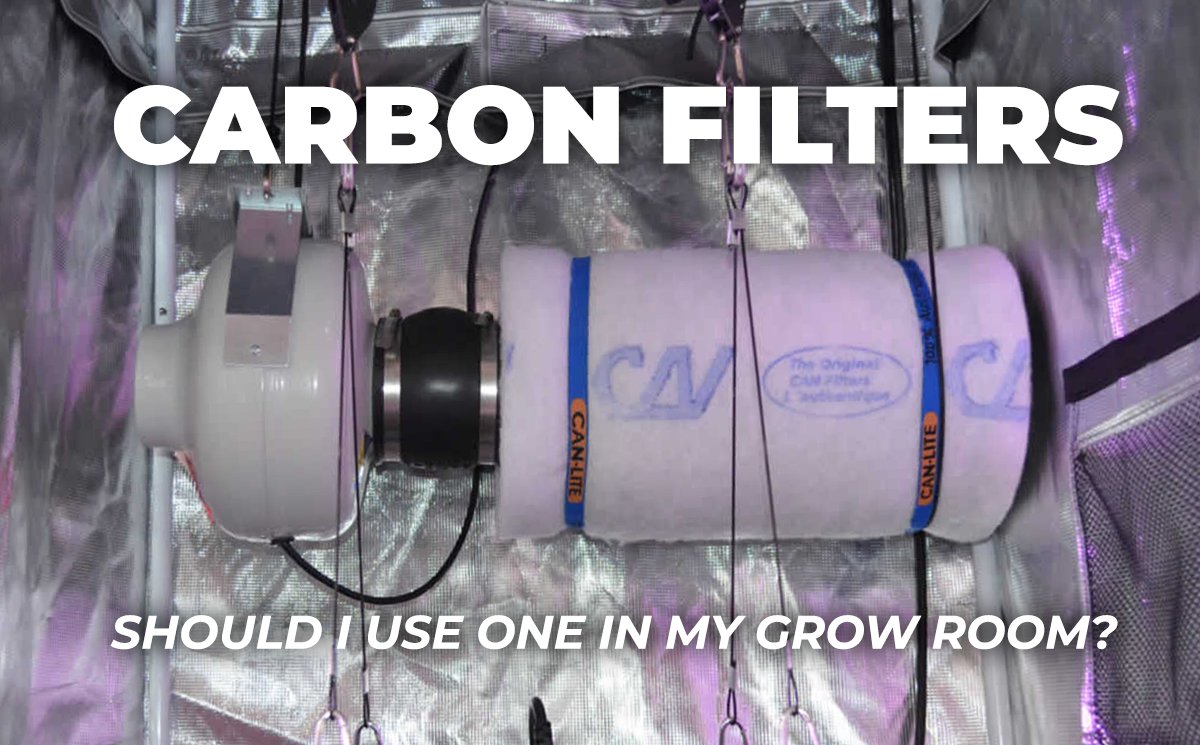 Carbon Filters: Should I Use One in My Grow Room?