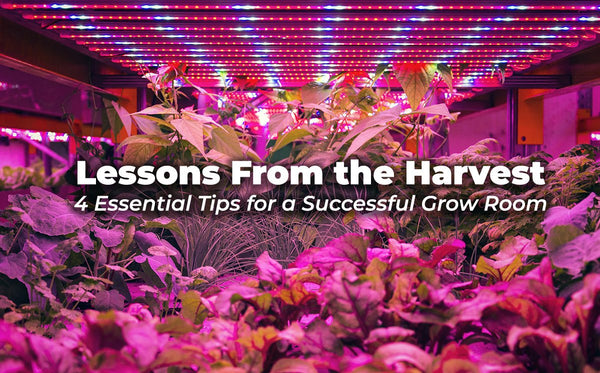 Lessons from the harvest