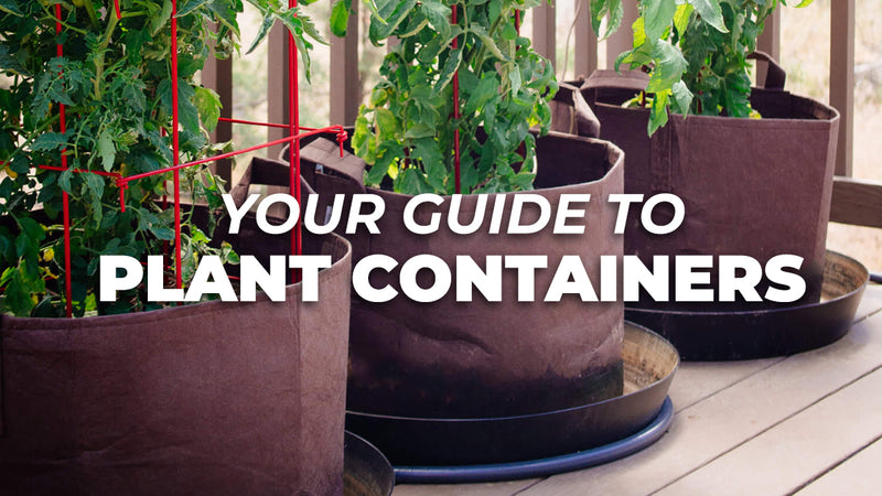 Your guide to plant containers
