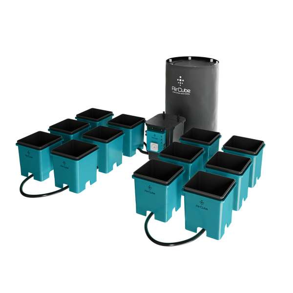 AirCube Active Oxygen Ebb & Flow Grow System - 12 Site