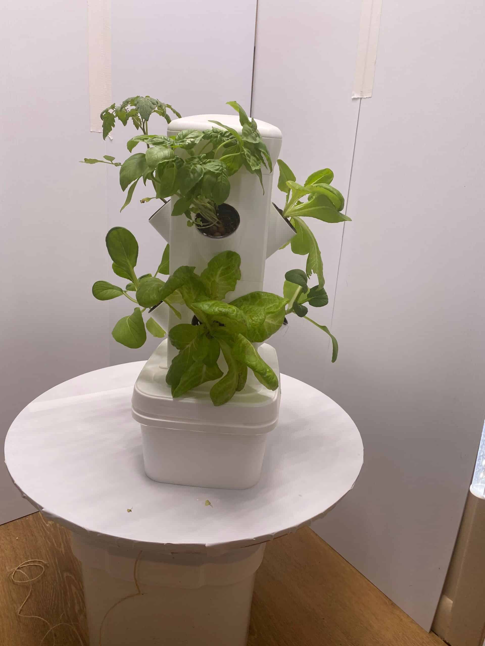 8 plant hydroponic system EXO Tower 2 Tier 8 Plant Tabletop Garden Tower