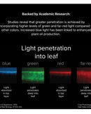 LED Mammoth Lighting 6 Bar Veg Mom Series Color_Studies