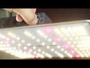 Spider Farmer 100W SF1000 LED Grow Light System