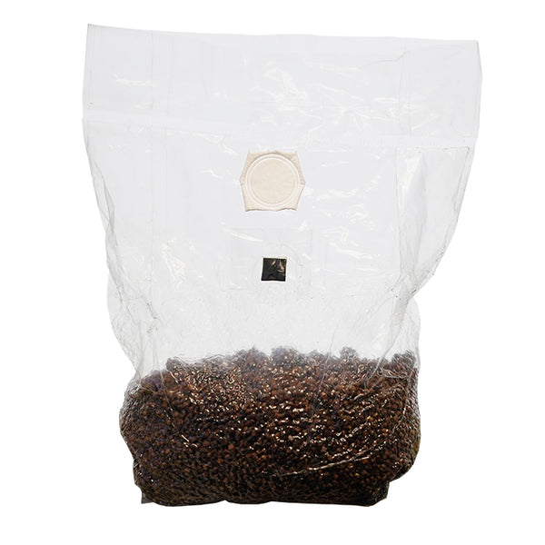 SuperSpore Mushroom Grain Bag 4lbs