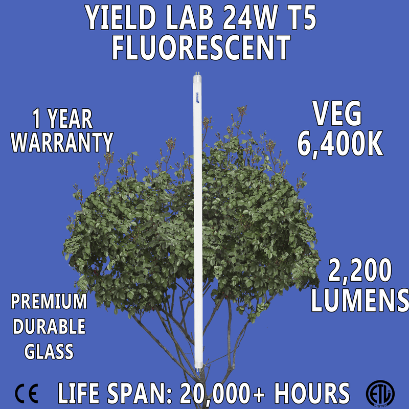 Yield Lab 24w T5 Fluorescent Grow Light Bulbs (6400k), 5 Pack features