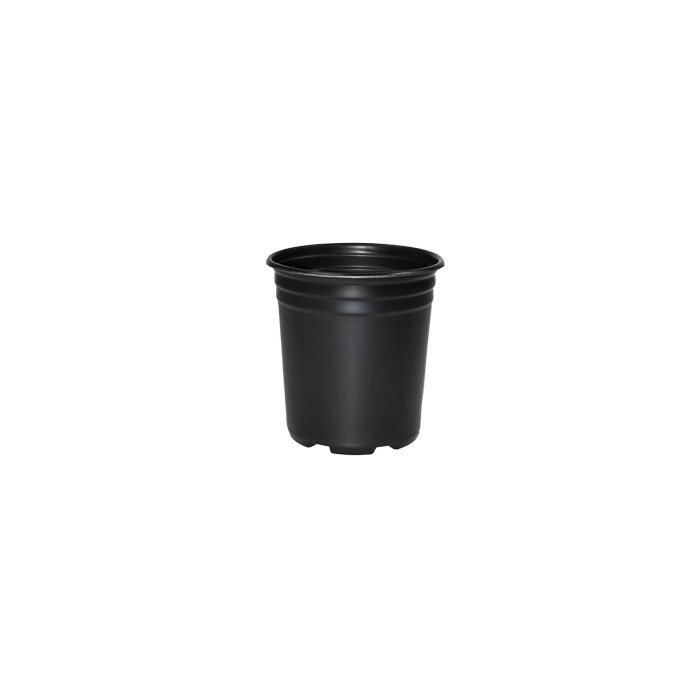 Growing Essentials 1 Gal. Thermoformed Pot (3 Pack) side profile