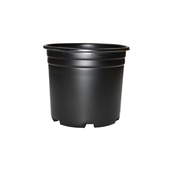 5 gallon plastic planter pots 5 Gallons Squat Thermoformed Pots | Thermoformed Pots
