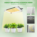 LED Grow Light Mars Hydro TS 600 Height