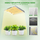 LED Grow Light Mars Hydro TSW 2000 Height