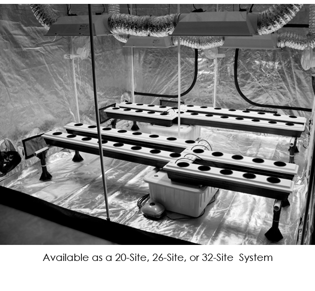 Hydroponics SuperPonic SuperFlow 26 Site Ebb and Flow Hydroponic System inside tent