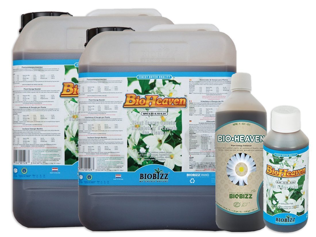 bbg200273_3.jpg?v=1763164753