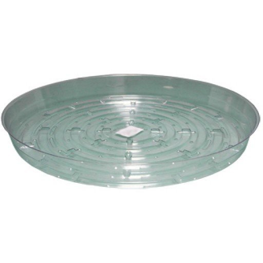 Growing Essentials 8" Clear Saucer (Minimum Order 25 Units) side profile