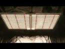 Spider Farmer SF-2000 LED Grow Light Unboxing, PAR Test & Heat Test!