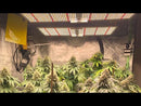 [Grow Journal