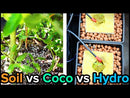 Soil vs Hydro vs Coco Blend