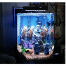 Led Grow Light Viparspectra V165 hang