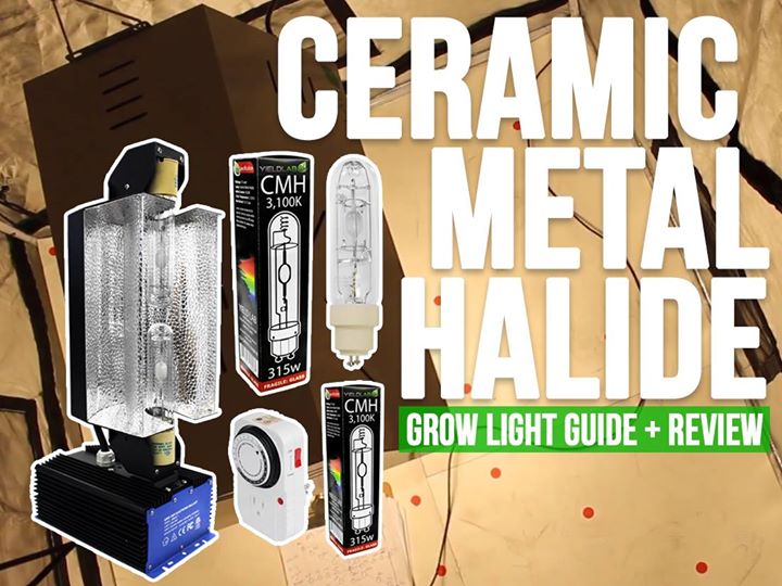 Ceramic metal halide light bulb review