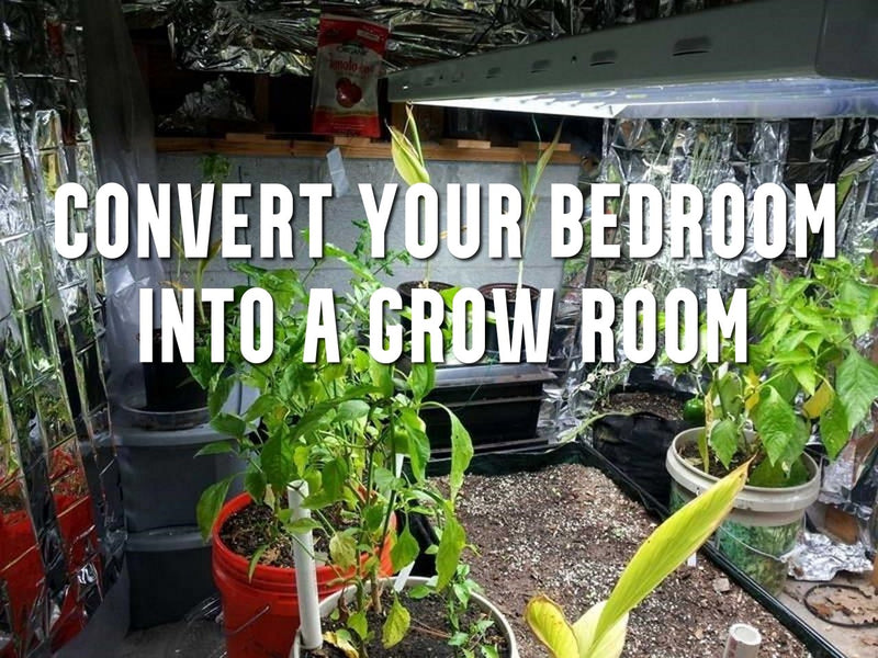 Convert Your Bedroom into a Grow Room