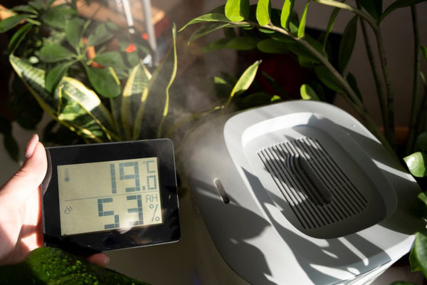 a photo of a humidifier and a thermometer hygrometer with indoor plants