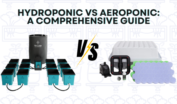 an AirCube Ebb and Flow System vs an Aeroponic System