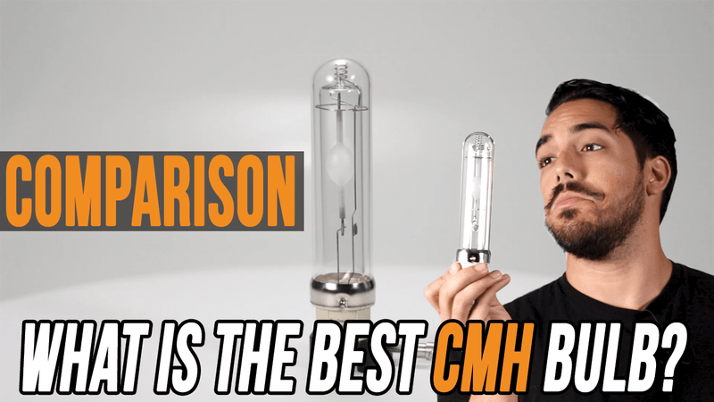 Comparison: what is the best CMH bulb?