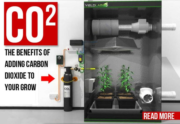 CO2: the benefits of adding carbon dioxide to your grow