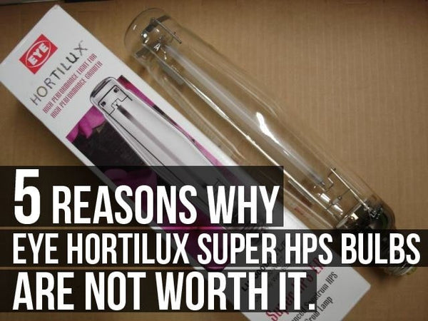 Hortilux lights deals