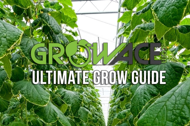 Growace Ultimate Grow Guide
