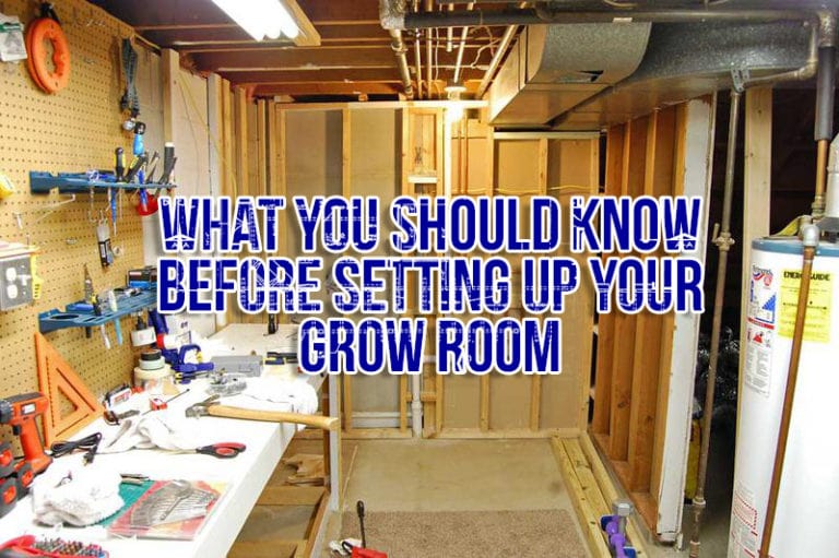 What you should know before setting up your grow room