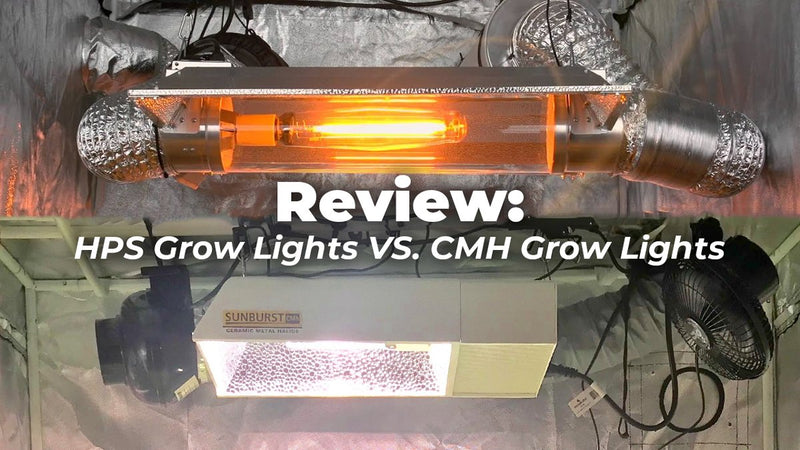 Review: HPS grow lights vs CMH grow lights
