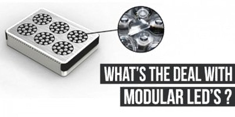 What's the deal with Modular LED's?