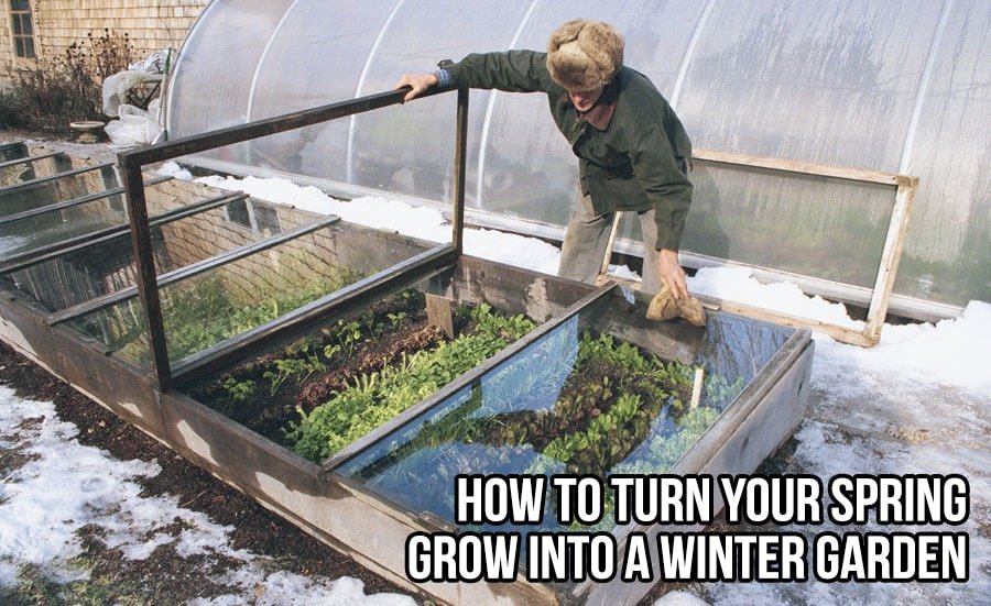 How to Turn Your Spring Grow into a Winter Garden