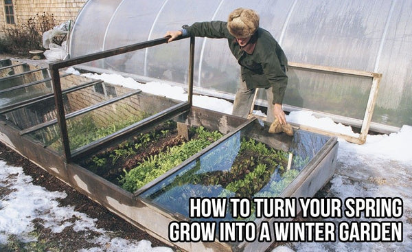 Turning a Spring grow into Winter Garden