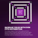 Kind LED X2 Commercial LED Grow Light System