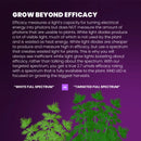 Kind LED X2 Commercial LED Grow Light System