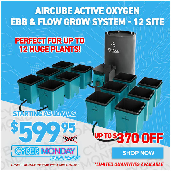 AirCube Active Oxygen Ebb & Flow Grow System - 12 Site