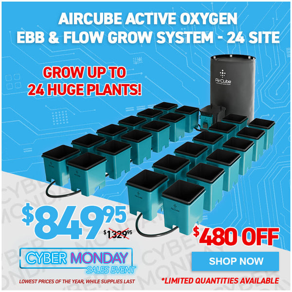 AirCube Active Oxygen Ebb & Flow Grow System - 24 Site