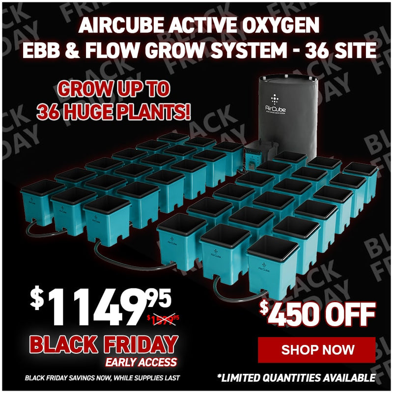 AirCube Active Oxygen Ebb & Flow Grow System - 36 Site