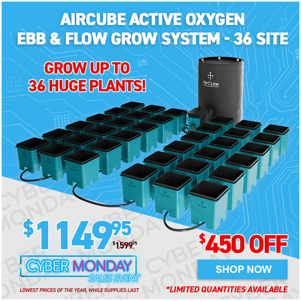 AirCube Active Oxygen Ebb & Flow Grow System - 36 Site