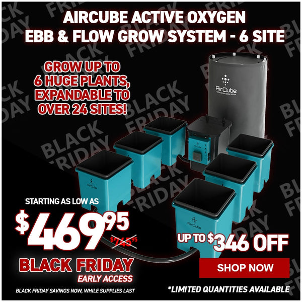 AirCube Active Oxygen Ebb and Flow Grow System - 6 Site