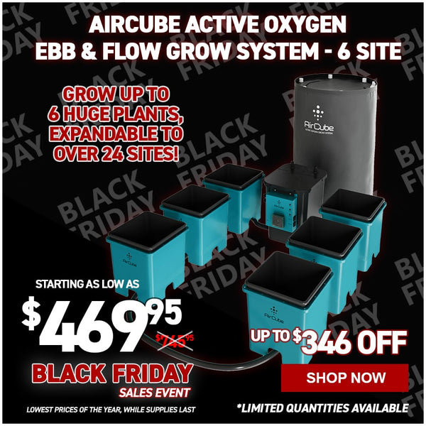 AirCube Active Oxygen Ebb and Flow Grow System - 6 Site
