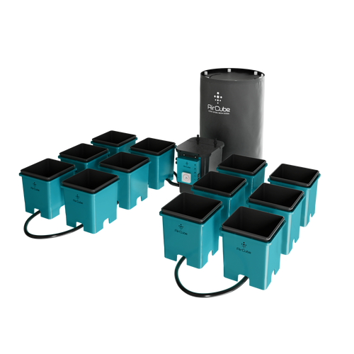 AirCube Active Oxygen Ebb & Flow Grow System - 12 Site