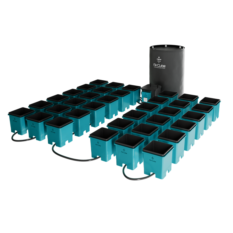 AirCube Active Oxygen Ebb & Flow Grow System - 36 Site