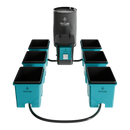 AirCube Active Oxygen Ebb and Flow Grow System - 6 Site