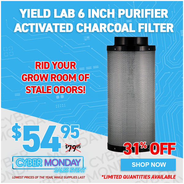 Yield Lab 6 Inch Purifier Activated Charcoal Filter