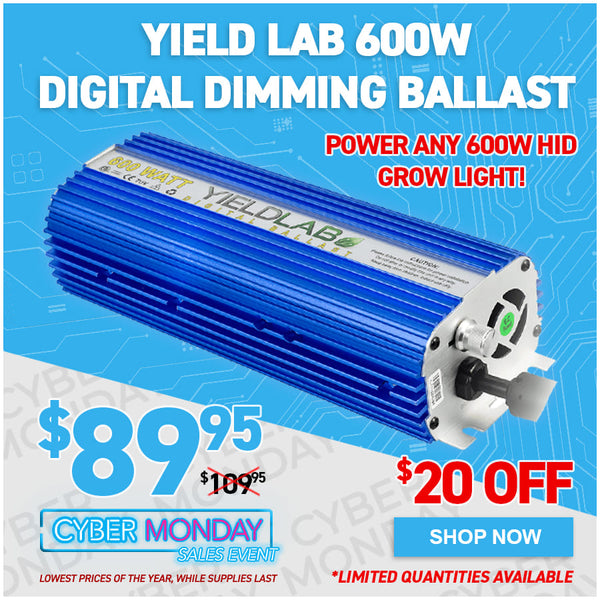 Yield Lab 600w Digital Dimming Ballast