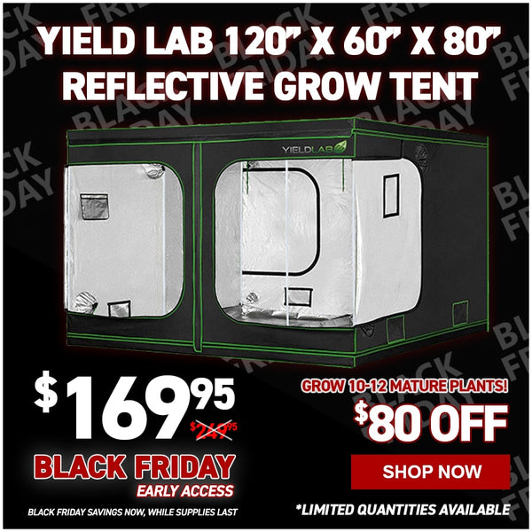 Yield Lab 120” x 60” x 80” Reflective Grow Tent (10x5)