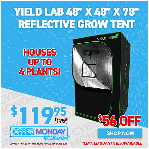 Yield Lab 48" x 48" x 78" Reflective Grow Tent (4x4)