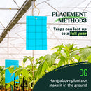 Horticulture Pest Control Catchmaster Double-Sided Blue Sticky Card Pest Monitor Placement Front Angle 